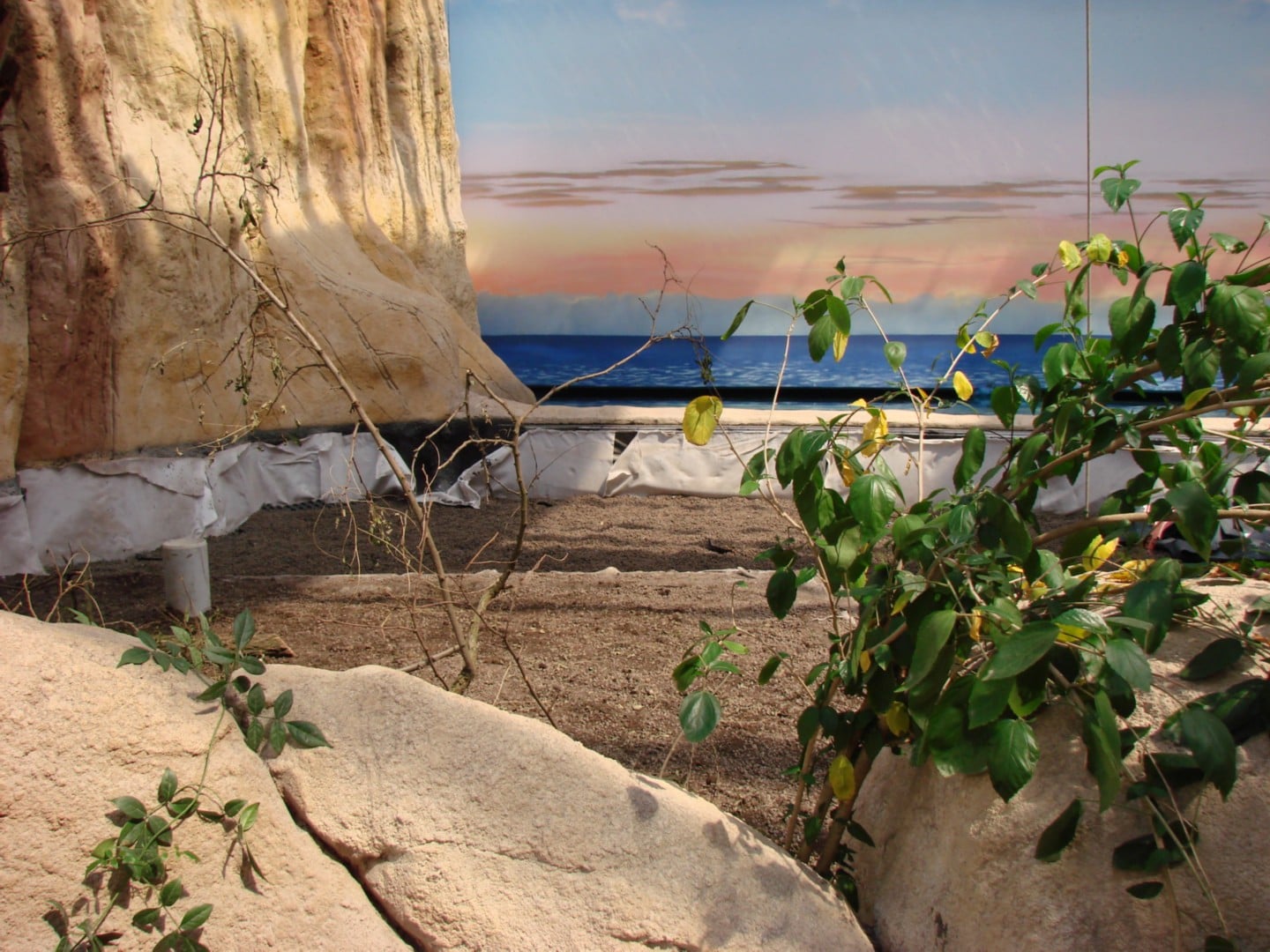 Afrykanarium Wrocław 3