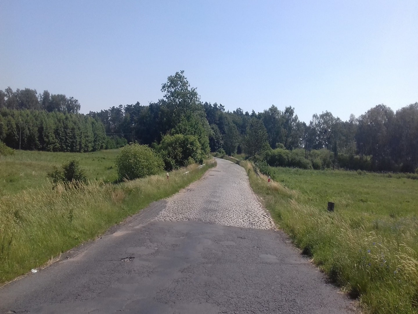 Droga wojewódzka Krzywin 1