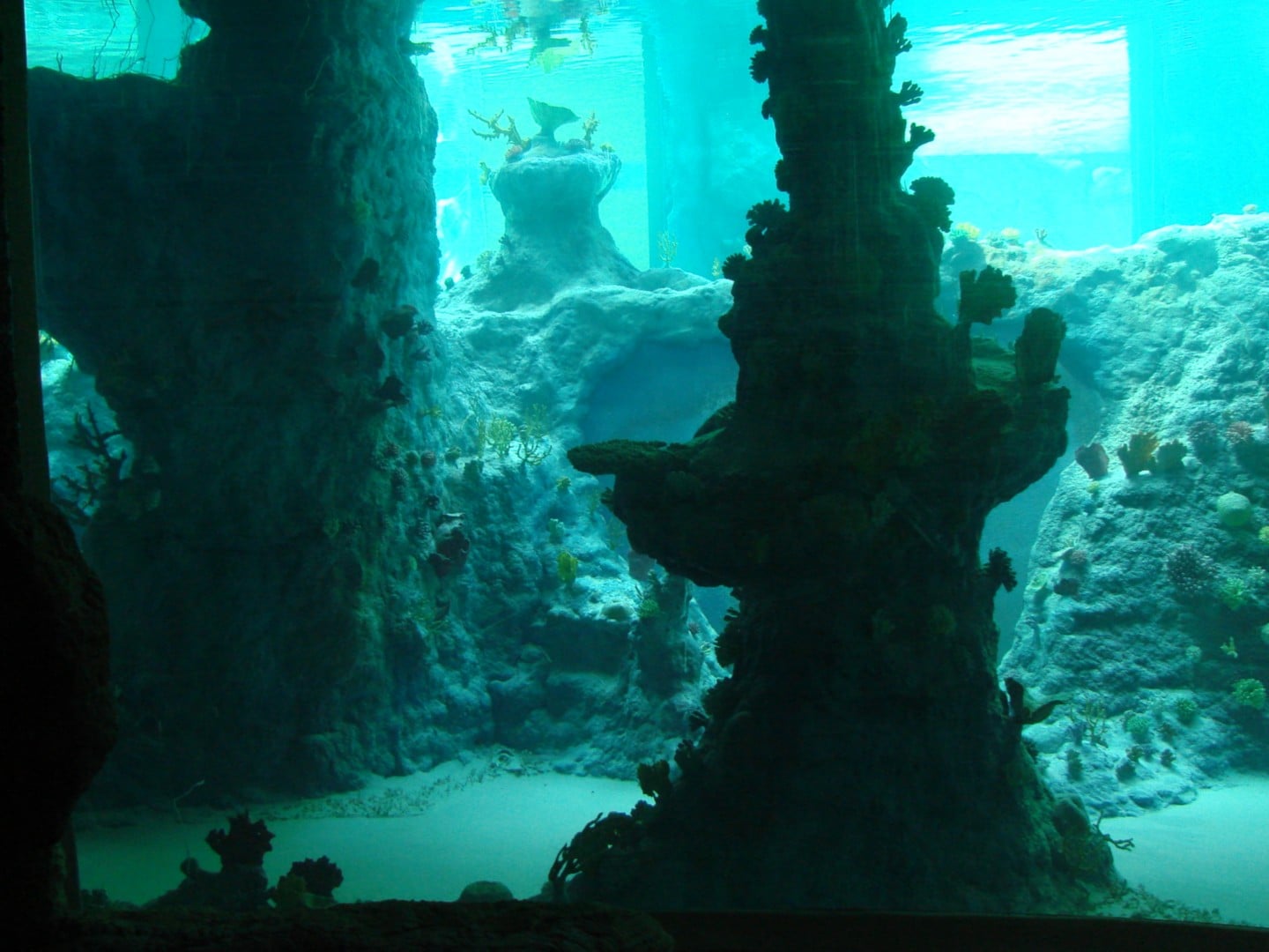 Afrykanarium Wrocław 5
