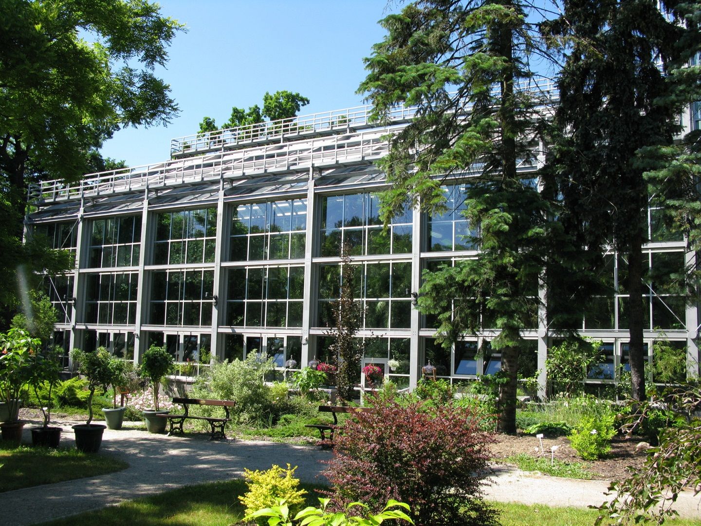 Palmiarnia Łódź 3