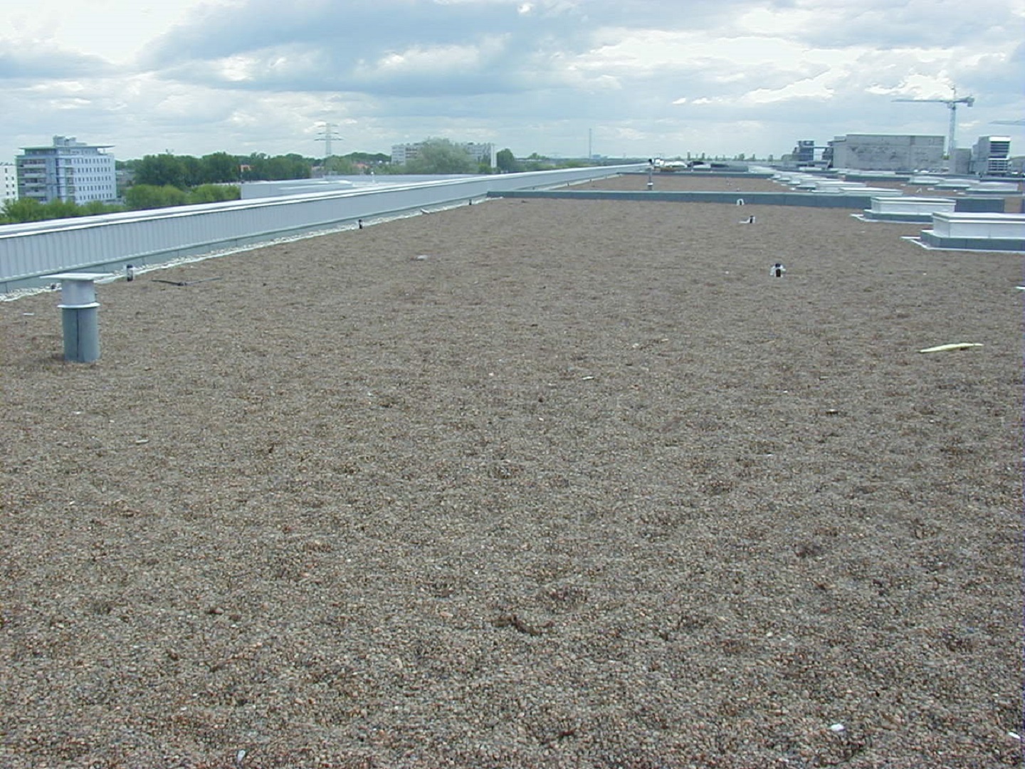 Arkadia Warszawa 4