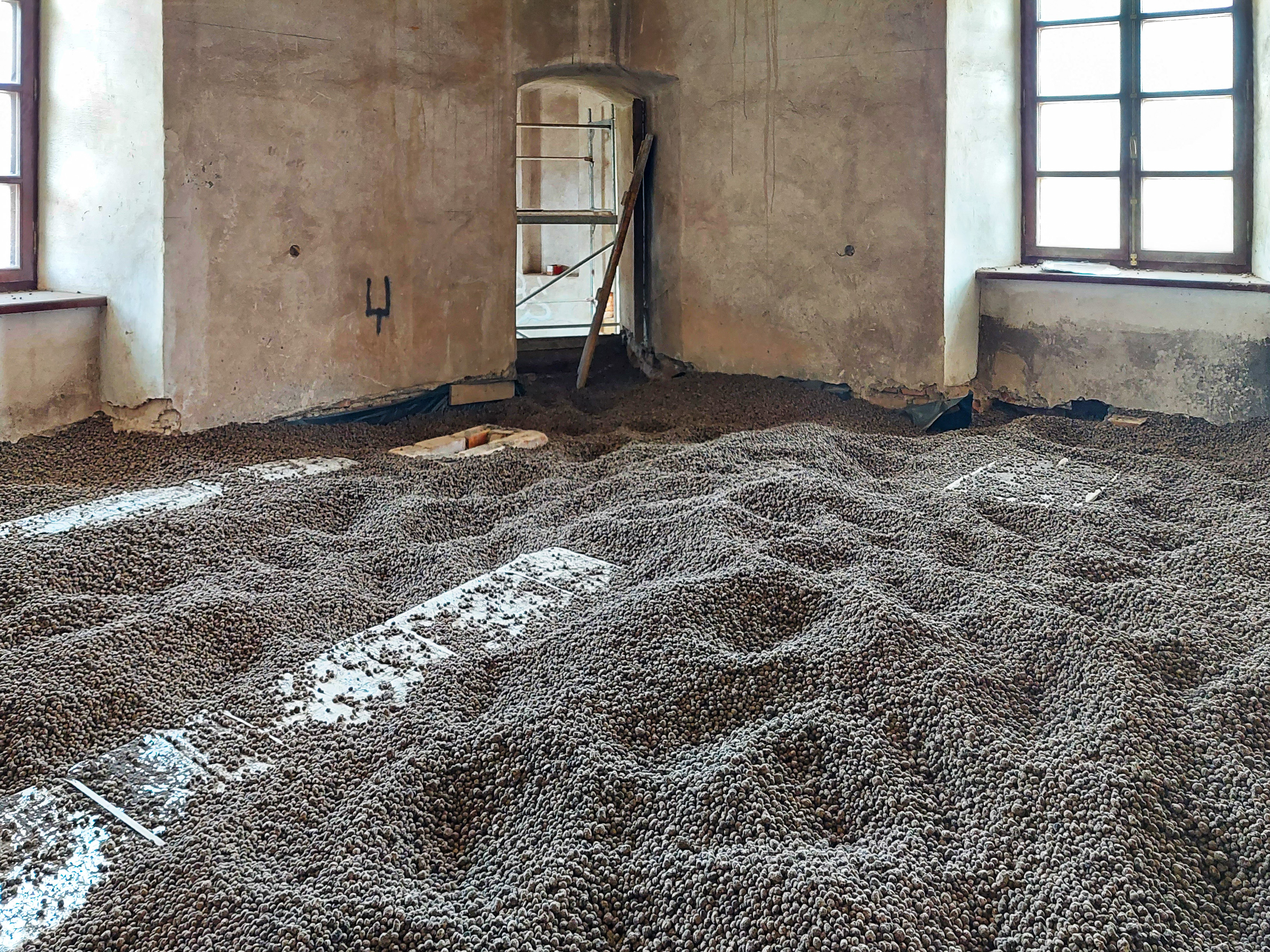 D2
