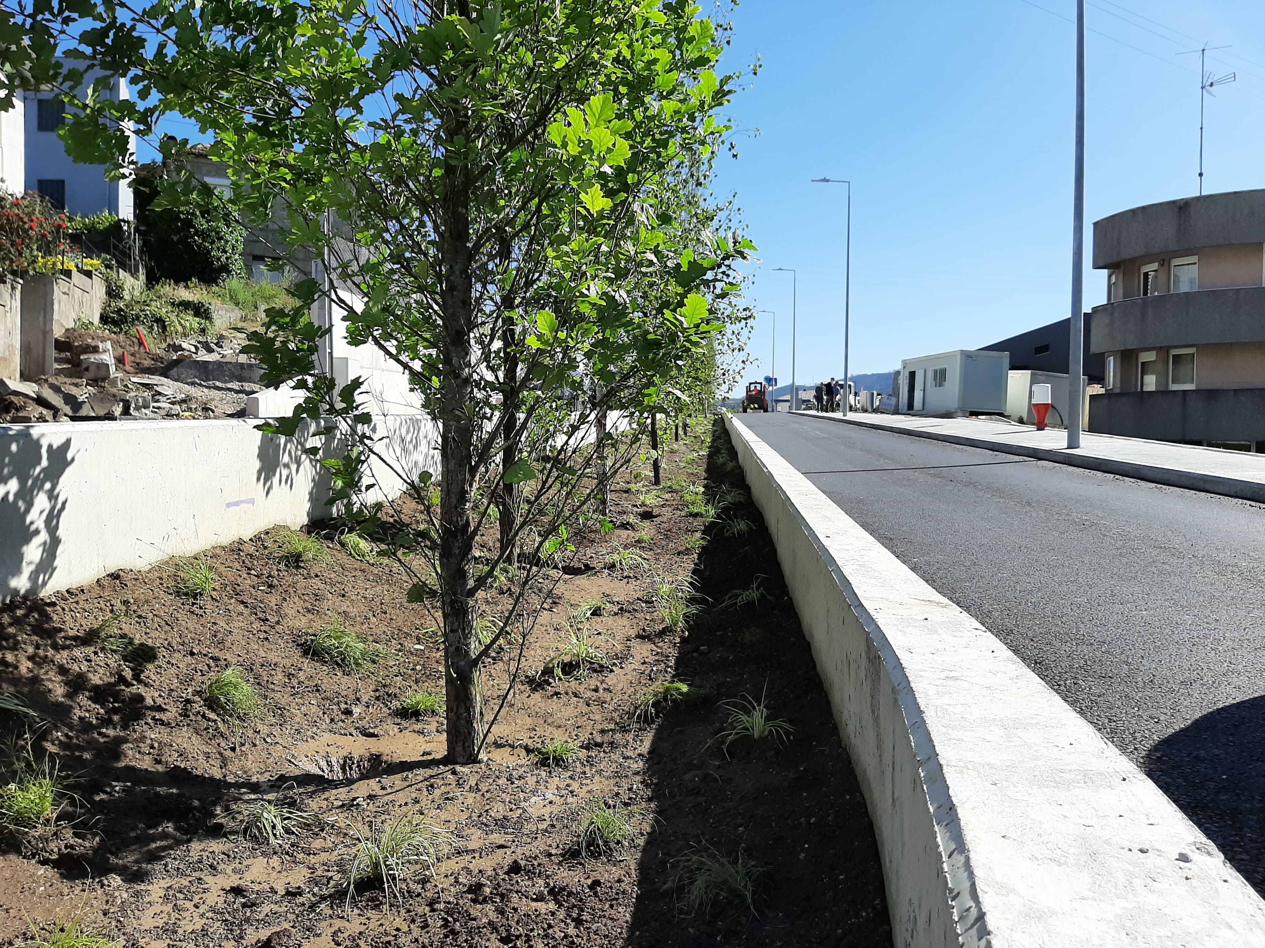 bioswale