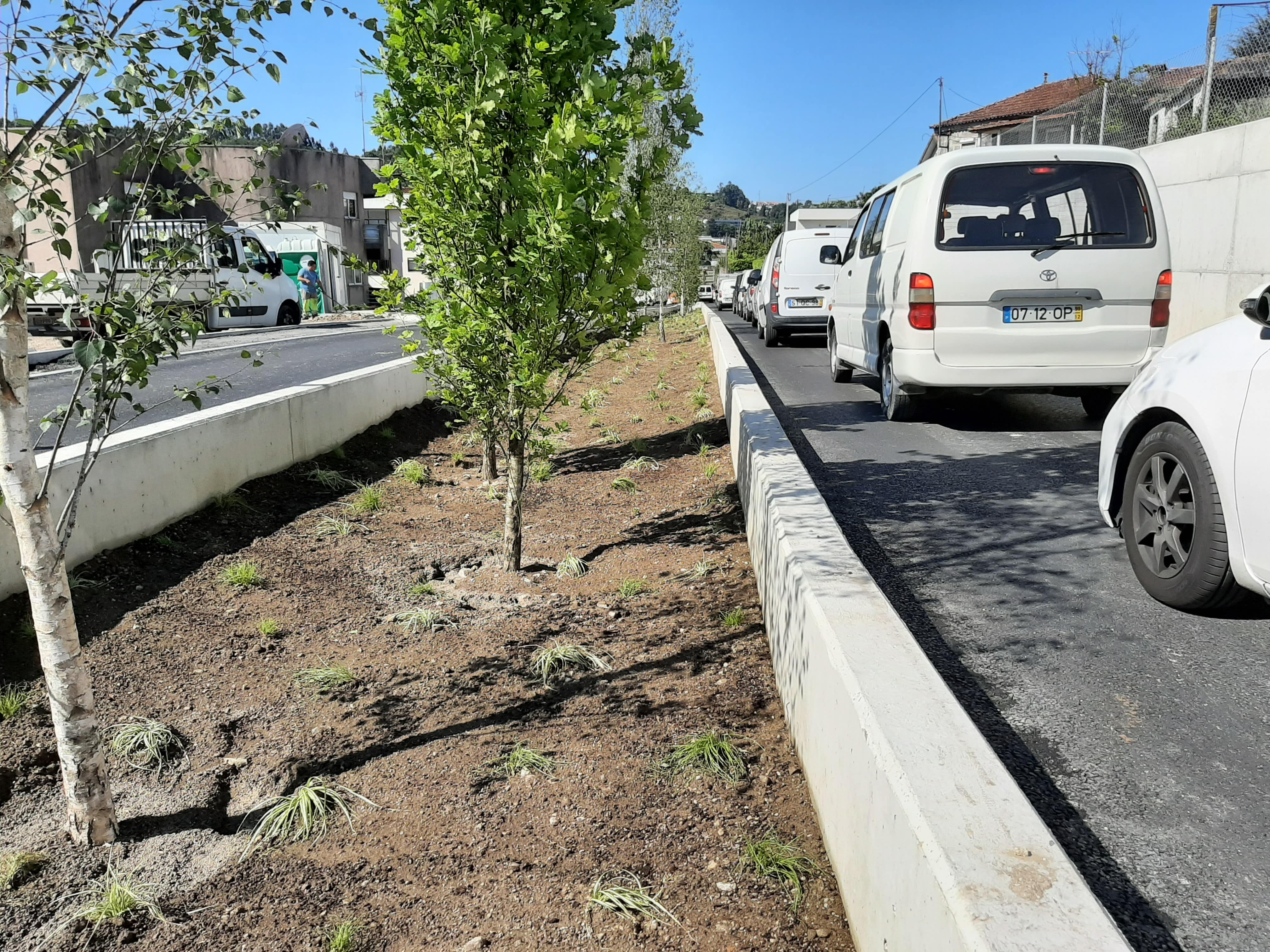 bioswale