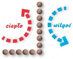 cieplo wilgoc piwnice