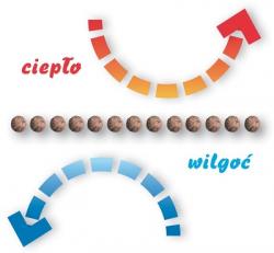 cieplo wilgoc podloga