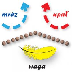 stropodach waga