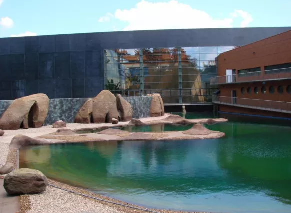 afrykarium wroclaw