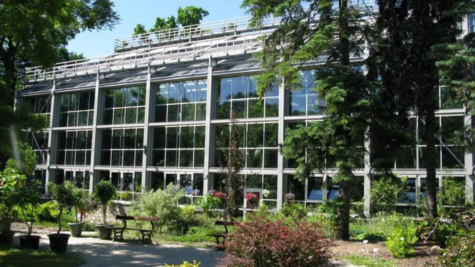 Palmiarnia Łódź 