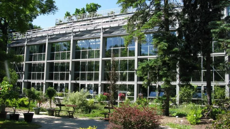 Palmiarnia Łódź 