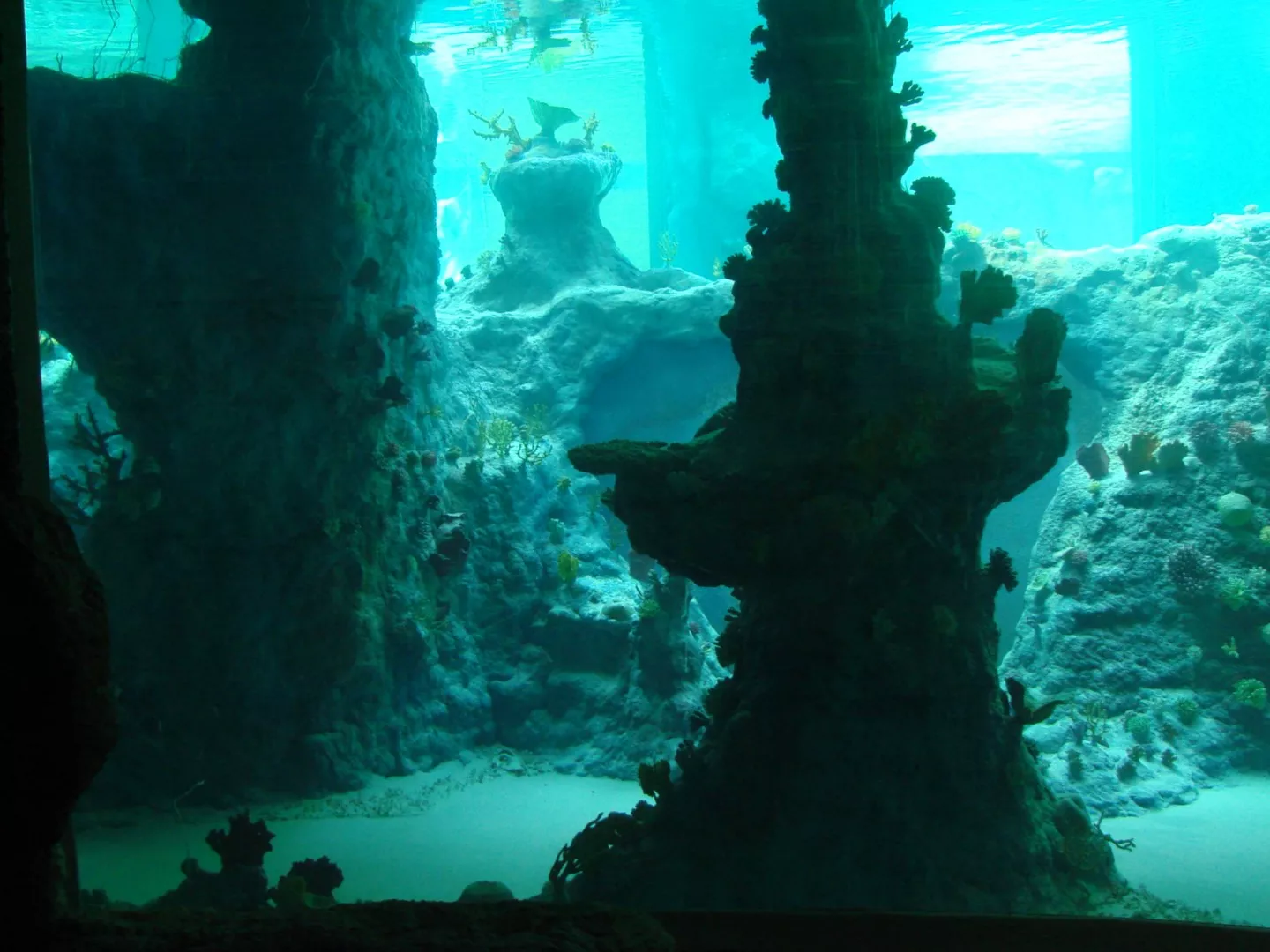 We wrocławskim Afrykarium zastosowano Leca® KERAMZYT
