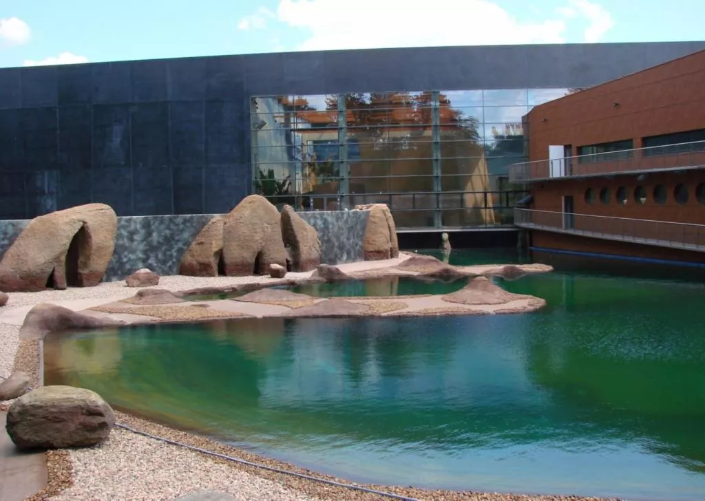 afrykarium