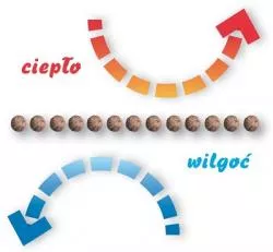 cieplo wilgoc podloga